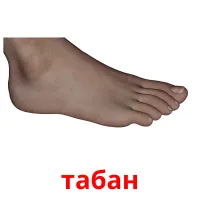 табан picture flashcards