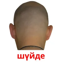 шүйде picture flashcards