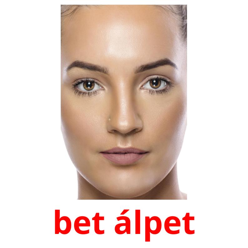 bet álpet picture flashcards
