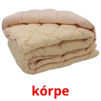 kórpe cartões com imagens