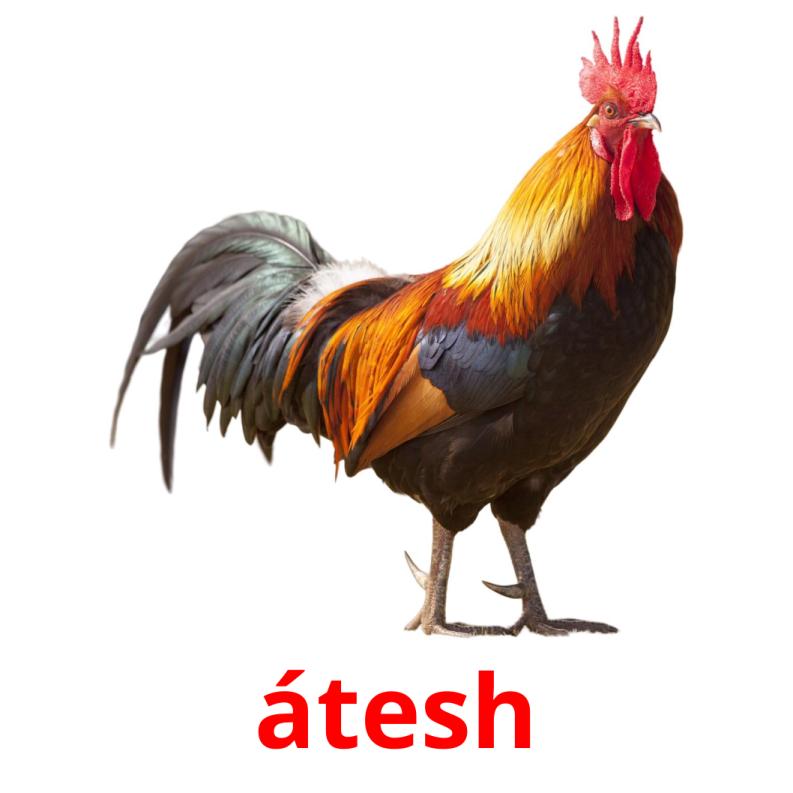 átesh picture flashcards