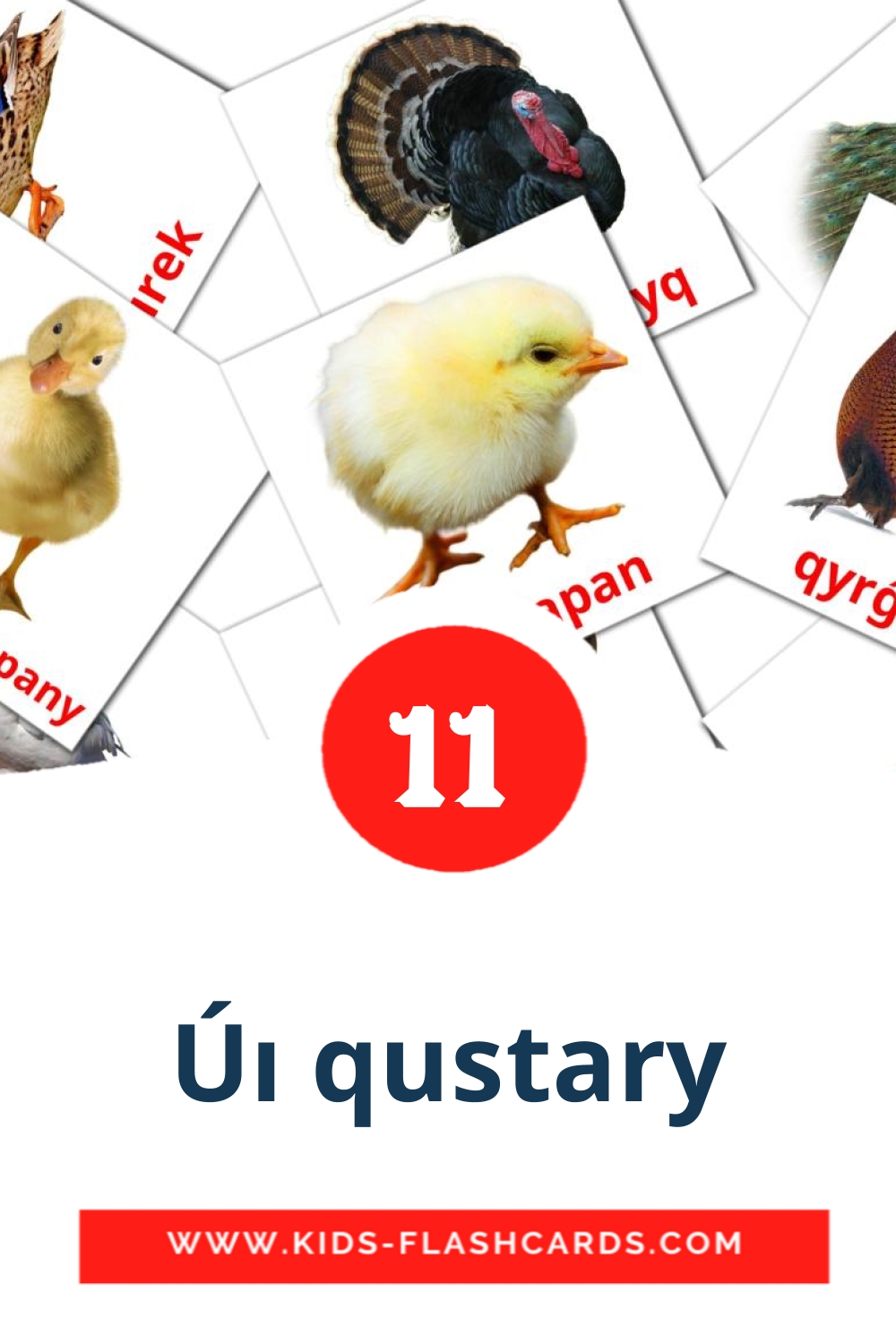 Úı qustary на казахский(латиница) для Детского Сада (11 карточек)