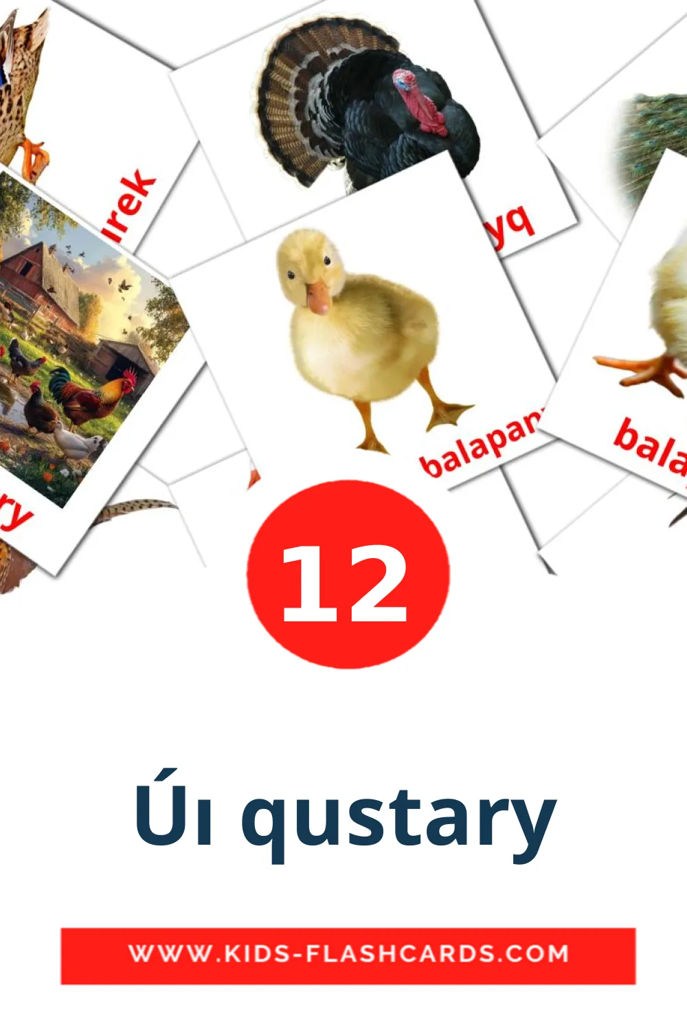 Úı qustary на казахский(латиница) для Детского Сада (12 карточек)