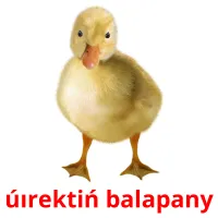 úırektіń balapany карточки энциклопедических знаний