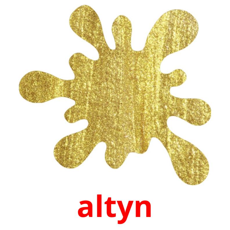 altyn picture flashcards