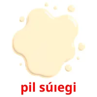 pіl súıegі ansichtkaarten