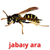 jabaıy ara card for translate