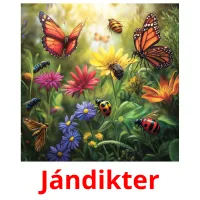 Jándіkter Bildkarteikarten