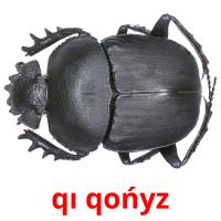 qı qońyz card for translate