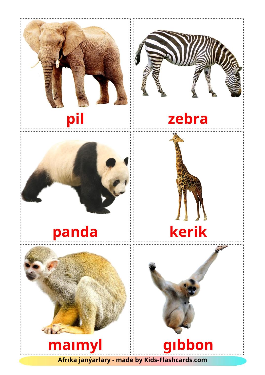 Jungle animals - 21 Free Printable kazakh(latin) Flashcards 