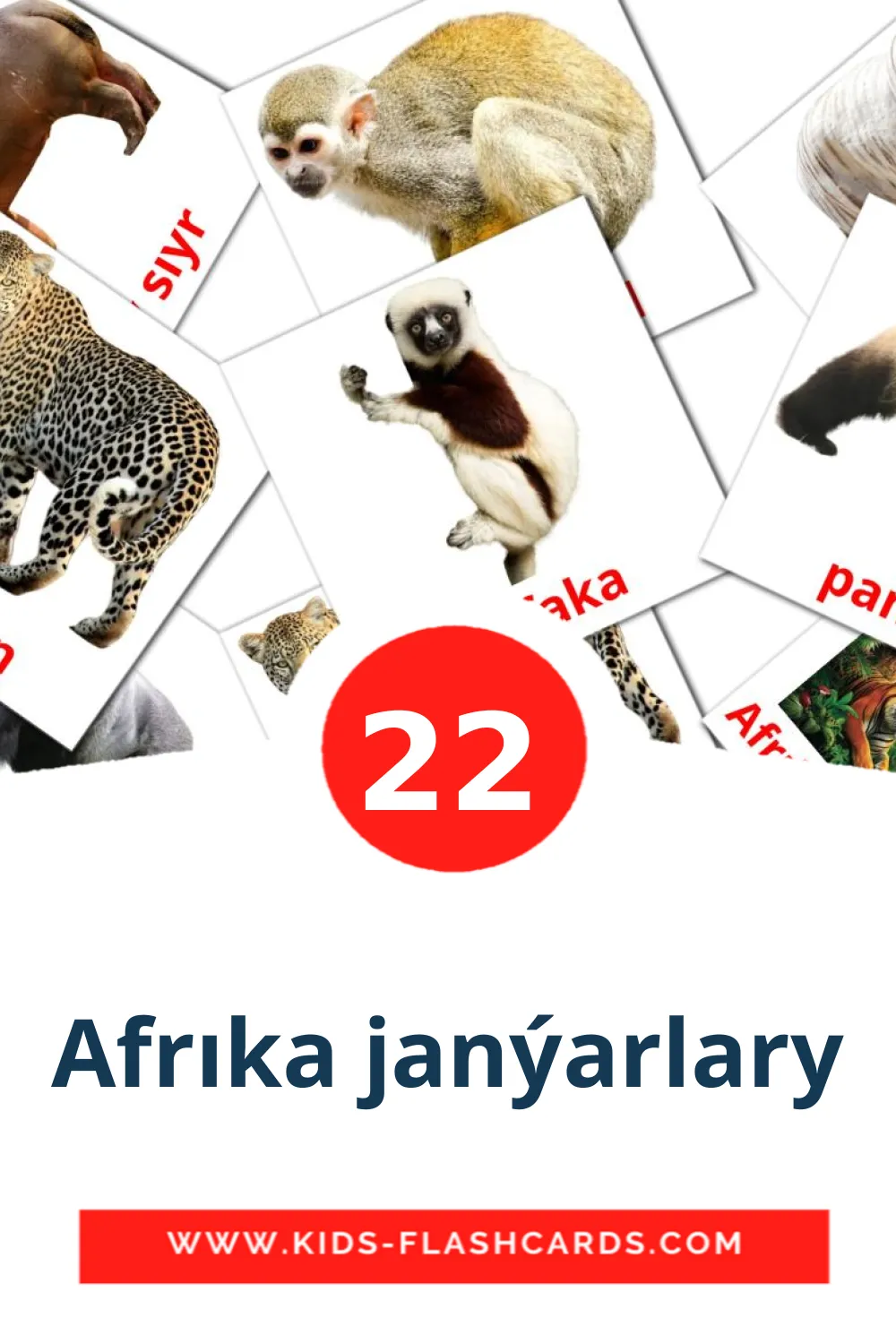 22 Afrıka janýarlary Picture Cards for Kindergarden in казахский(латиница)