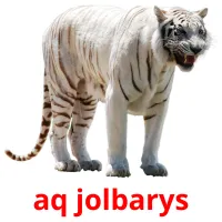 aq jolbarys picture flashcards