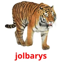 jolbarys picture flashcards