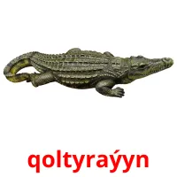 qoltyraýyn picture flashcards