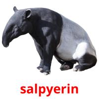 salpyerіn card for translate