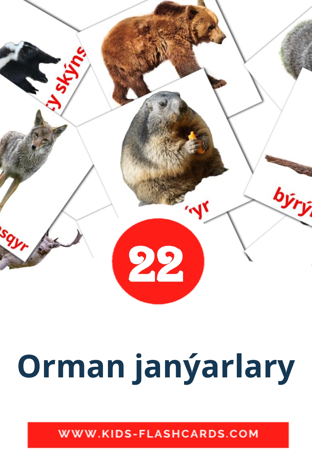22 Orman janýarlary Picture Cards for Kindergarden in kazakh(latin)