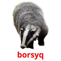 borsyq picture flashcards