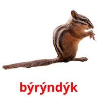 býrýndýk flashcards illustrate