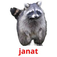 janat card for translate