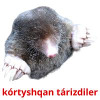 kórtyshqan tárіzdіler card for translate