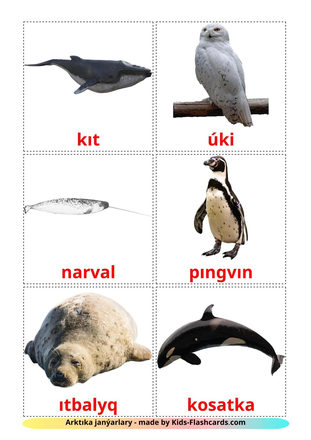 Animali artici - 15 flashcards kazakh(latino) stampabili gratuitamente