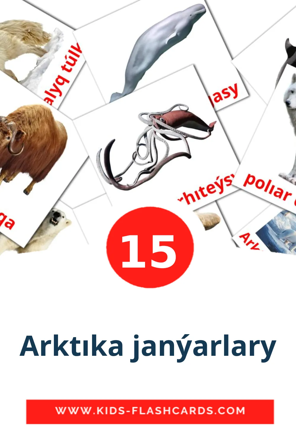 15 carte illustrate di Arktıka janýarlary per la scuola materna in kazakh(latino)