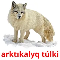 arktıkalyq túlkі flashcards illustrate