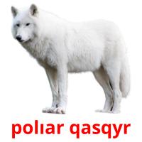 polıar qasqyr picture flashcards