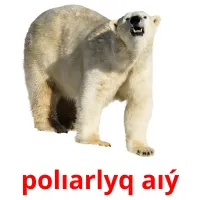 polıarlyq aıý flashcards illustrate