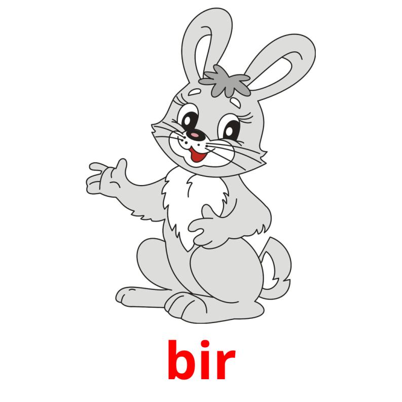 bіr picture flashcards