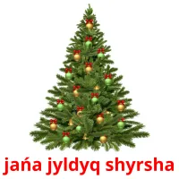 jańa jyldyq shyrsha flashcards illustrate