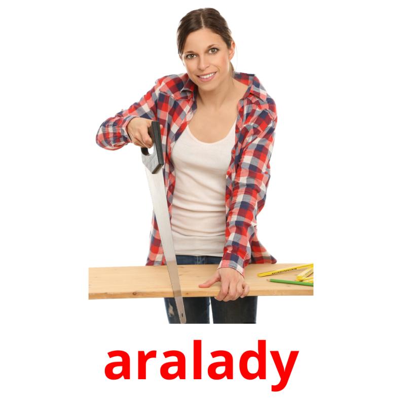 aralady picture flashcards