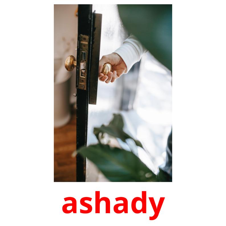ashady picture flashcards