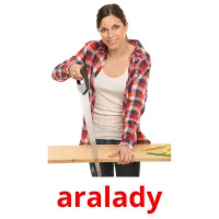 aralady picture flashcards