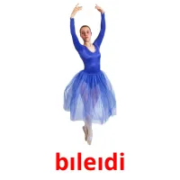 bıleıdі picture flashcards