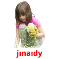 jınaıdy picture flashcards