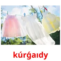 kúrǵaıdy picture flashcards