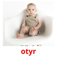 otyr picture flashcards