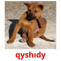 qyshıdy picture flashcards