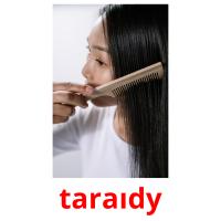 taraıdy picture flashcards