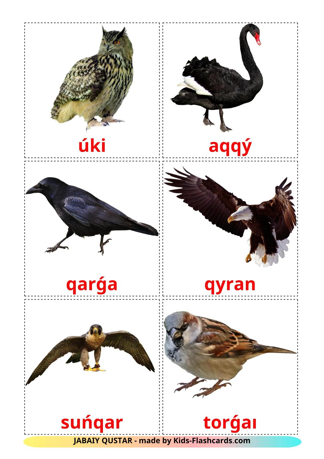 Wild birds - 19 Free Printable kazakh(latin) Flashcards 