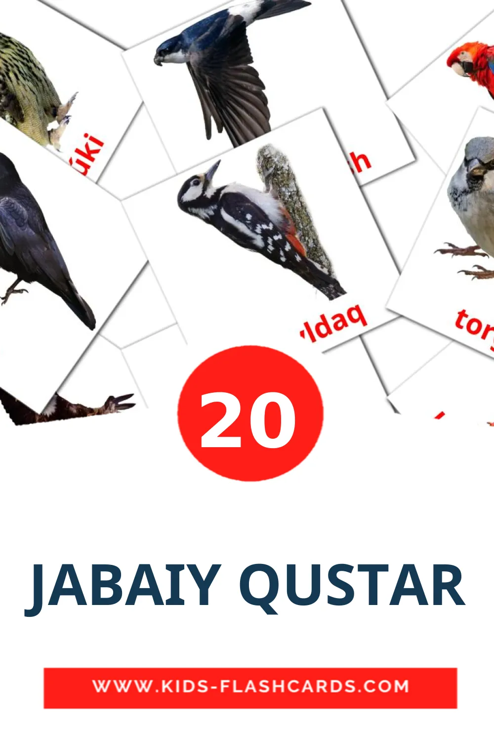 19 JABAIY QUSTAR Picture Cards for Kindergarden in kazakh(latin)