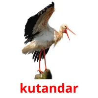 kutandar picture flashcards