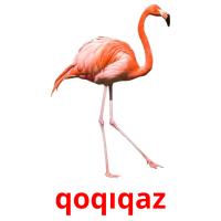 qoqıqaz card for translate