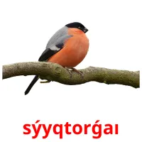 sýyqtorǵaı picture flashcards