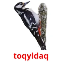 toqyldaq cartões com imagens