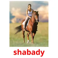 shabady picture flashcards