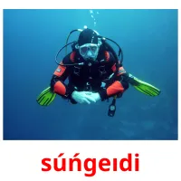 súńgeıdі picture flashcards