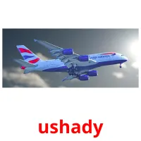 ushady picture flashcards