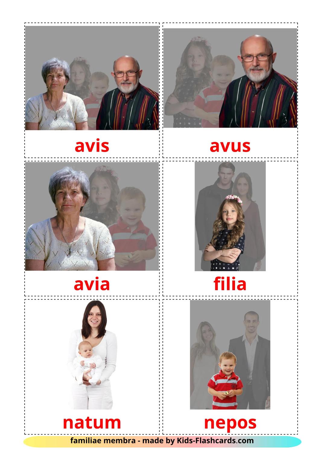 Miembros de la Familia - 32 fichas de frans para imprimir gratis 